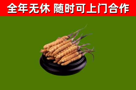 喀喇沁县烟酒回收冬虫夏草.jpg